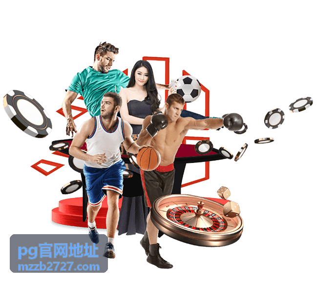 pg官网地址入口核验流程说明配图